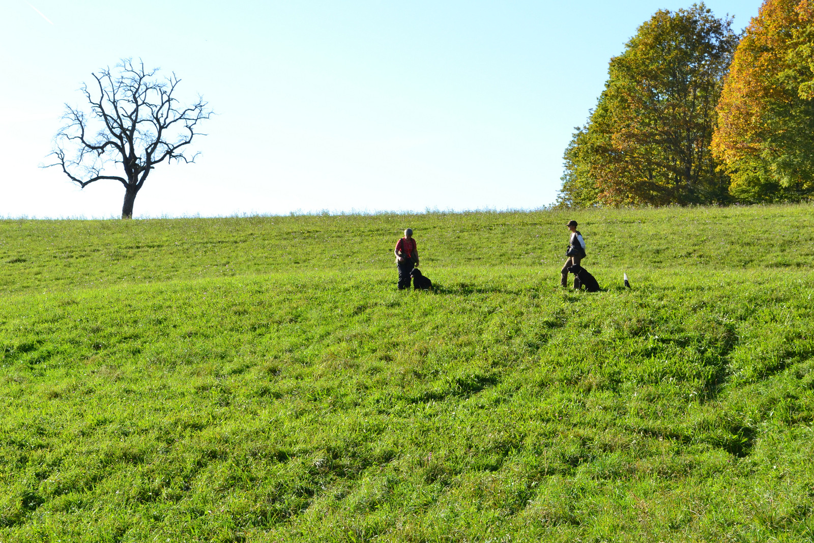 Seminar Jörg 19.10 016